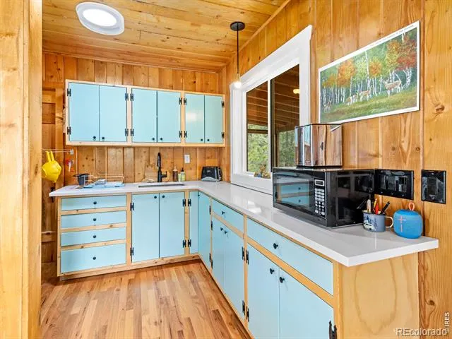 270 E Ski Road Allenspark, CO 80510