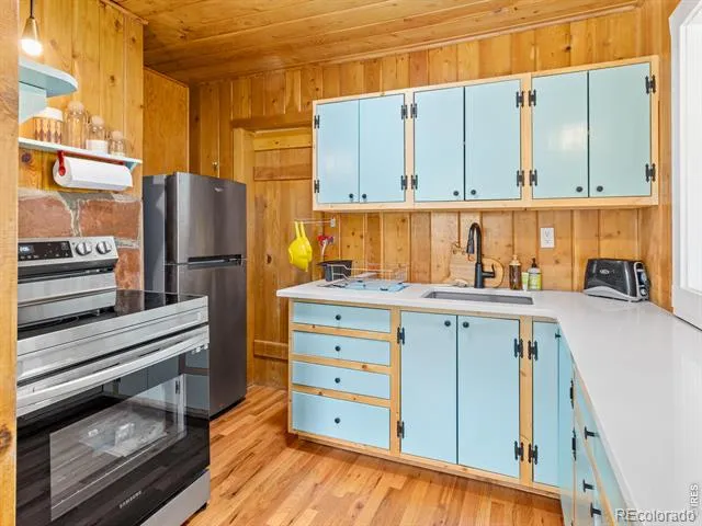 270 E Ski Road Allenspark, CO 80510
