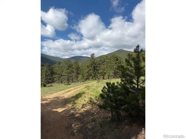 270 E Ski Road Allenspark, CO 80510