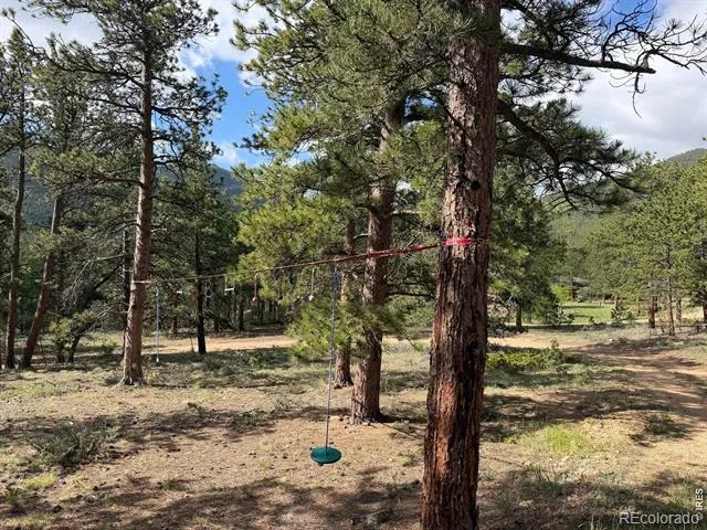 270 E Ski Road Allenspark, CO 80510