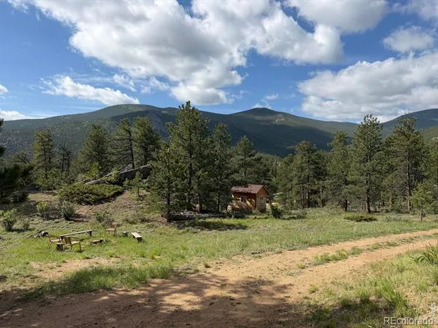 270 E Ski Road Allenspark, CO 80510