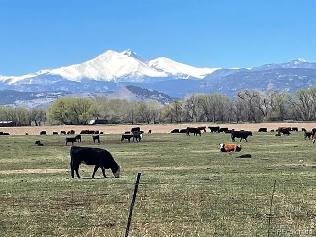 13155 75th Street Longmont, CO 80503