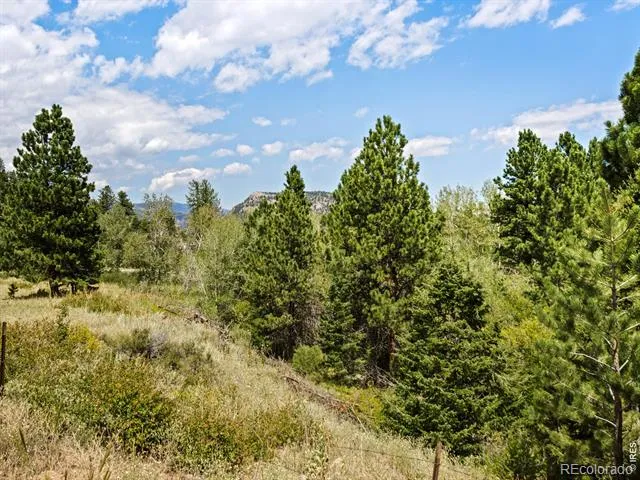 0 State Highway 7 Estes Park, CO 80517