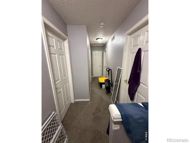5141 Jasper Street Denver, CO 80239