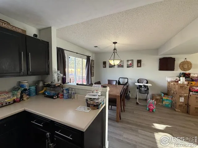 5141 Jasper Street Denver, CO 80239