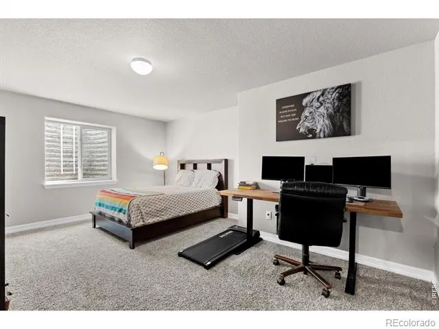 1430 Larimer Ridge Parkway Timnath, CO 80547