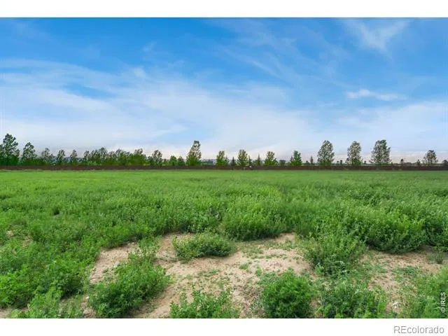 1574 Hauck Meadows Drive Frederick, CO 80504