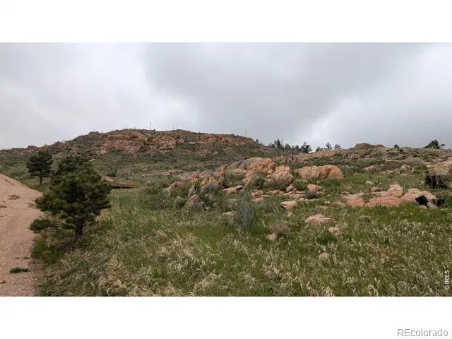 1191 Eiger Road Livermore, CO 80536