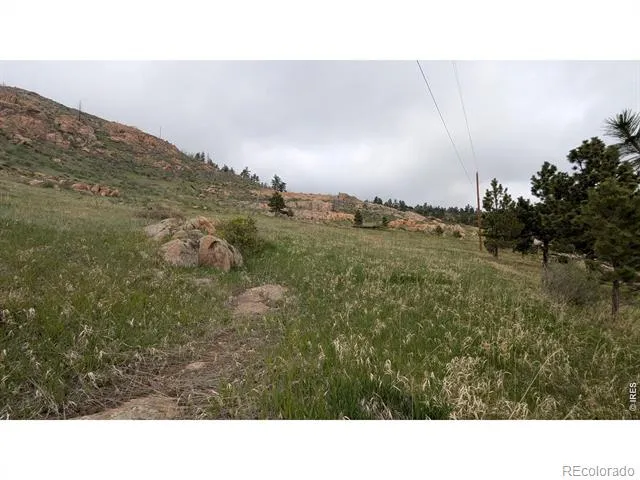 1191 Eiger Road Livermore, CO 80536