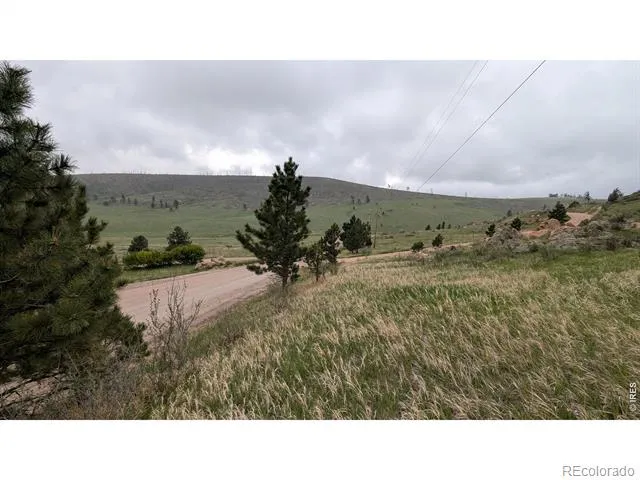 1191 Eiger Road Livermore, CO 80536