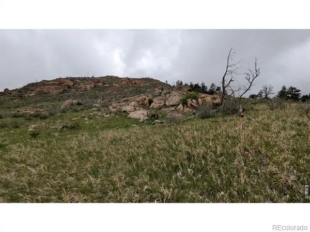 1191 Eiger Road Livermore, CO 80536