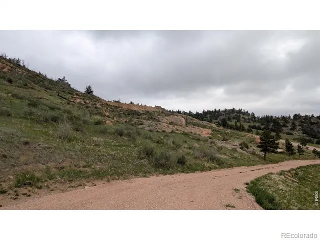 1191 Eiger Road Livermore, CO 80536