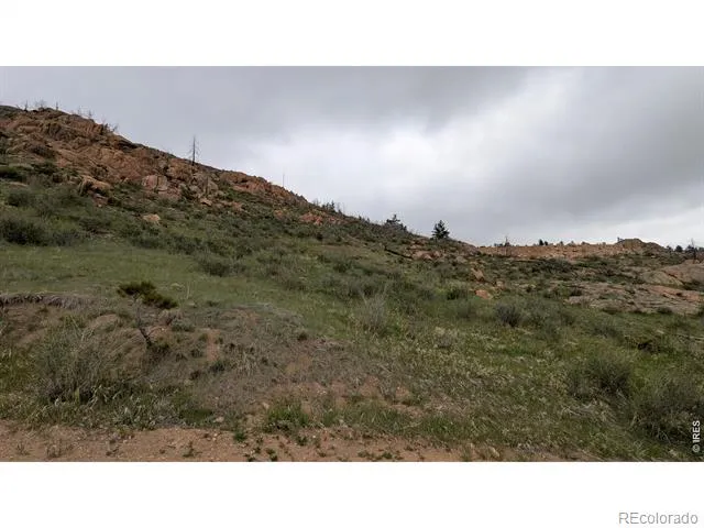 1191 Eiger Road Livermore, CO 80536