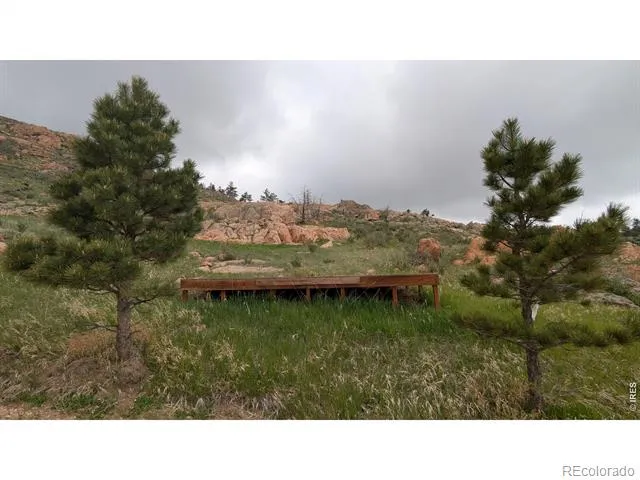 1191 Eiger Road Livermore, CO 80536
