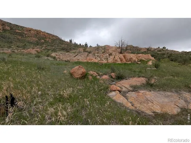 1191 Eiger Road Livermore, CO 80536