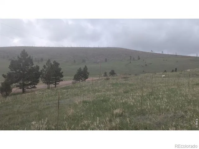 1191 Eiger Road Livermore, CO 80536
