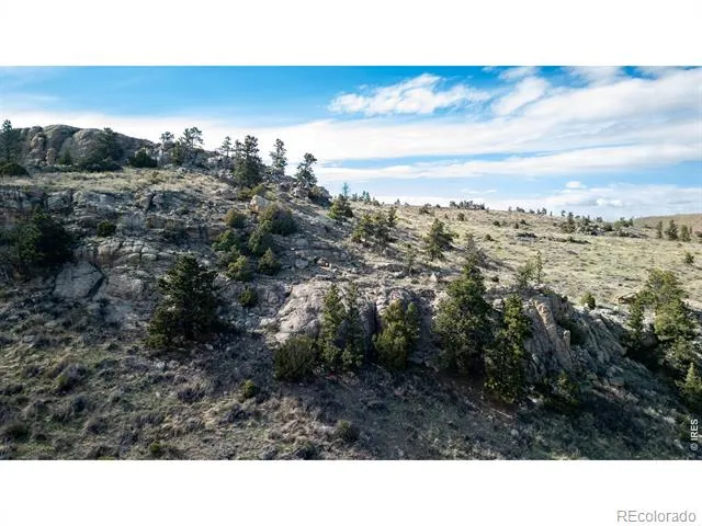 5 Deer Meadow Way Livermore, CO 80536