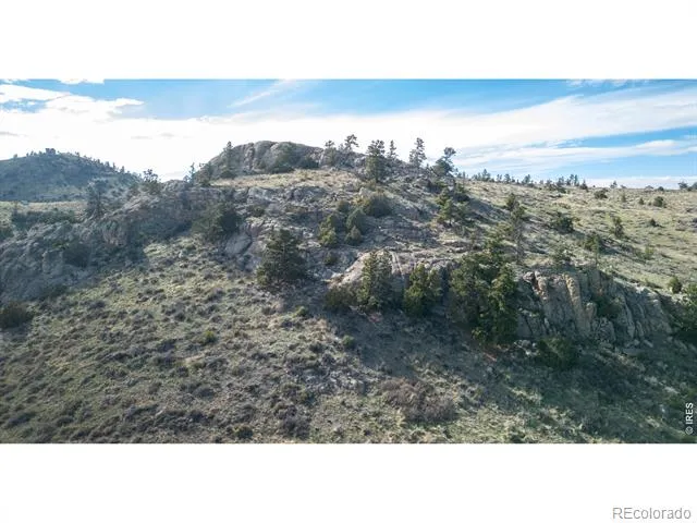 5 Deer Meadow Way Livermore, CO 80536