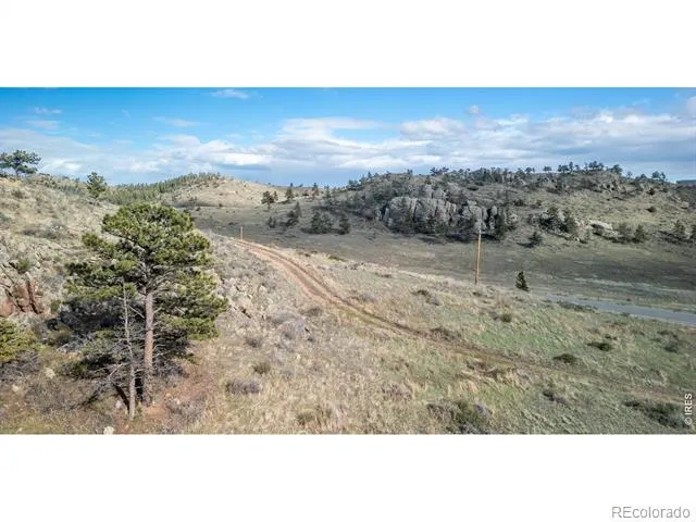 5 Deer Meadow Way Livermore, CO 80536