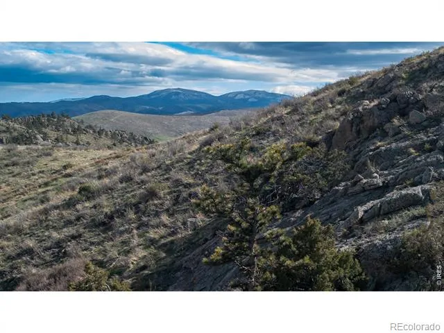 5 Deer Meadow Way Livermore, CO 80536
