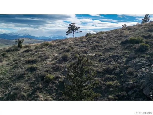 5 Deer Meadow Way Livermore, CO 80536