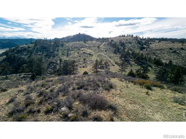 5 Deer Meadow Way Livermore, CO 80536