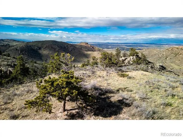 5 Deer Meadow Way Livermore, CO 80536