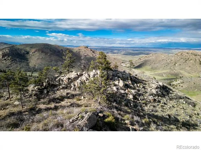 5 Deer Meadow Way Livermore, CO 80536