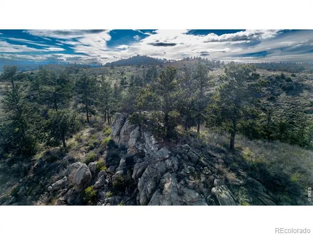 5 Deer Meadow Way Livermore, CO 80536
