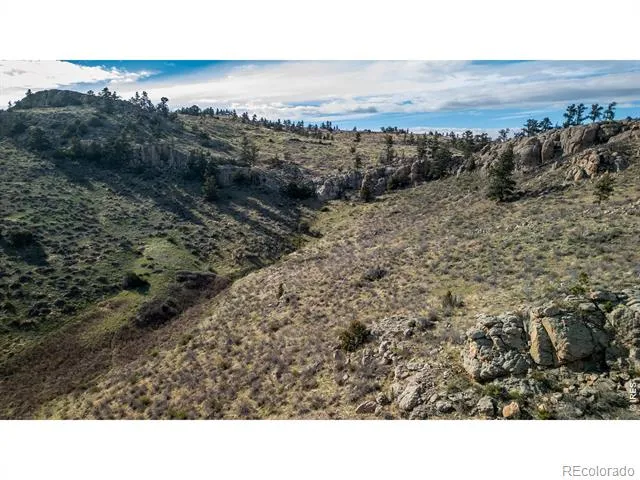 5 Deer Meadow Way Livermore, CO 80536