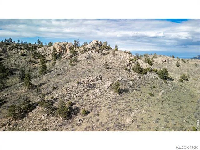 5 Deer Meadow Way Livermore, CO 80536