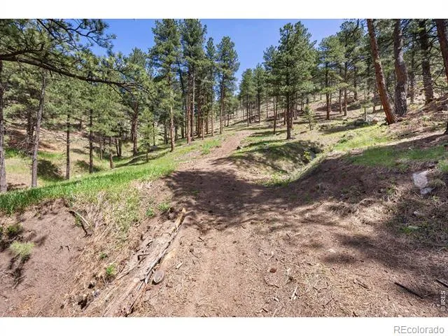 3561 Sunshine Canyon Drive Boulder, CO 80302