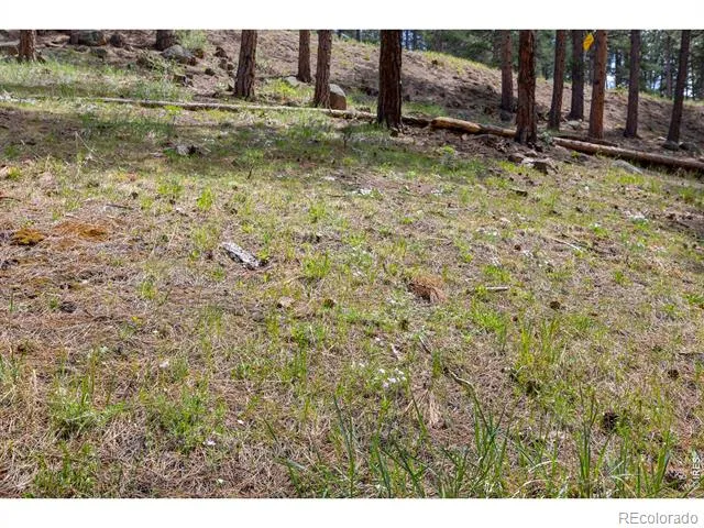 3561 Sunshine Canyon Drive Boulder, CO 80302