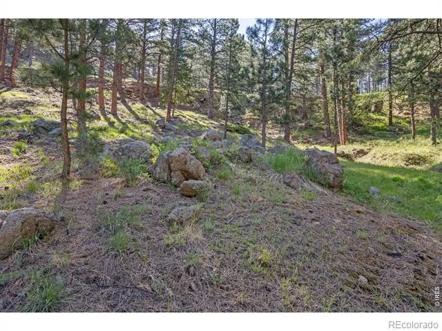 3561 Sunshine Canyon Drive Boulder, CO 80302