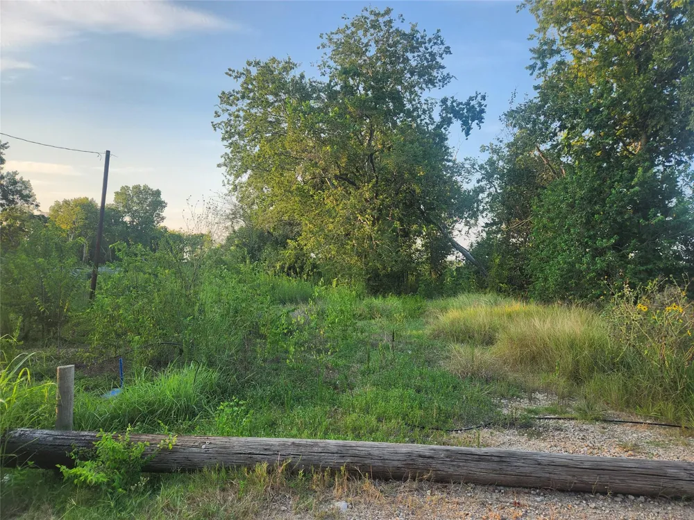 16026 Sam Brookins Street Sugar Land, TX 77498