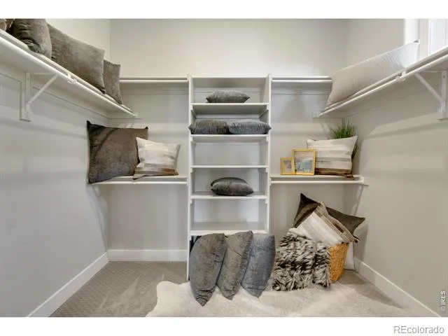 2039 Morningstar Way Fort Collins, CO 80524