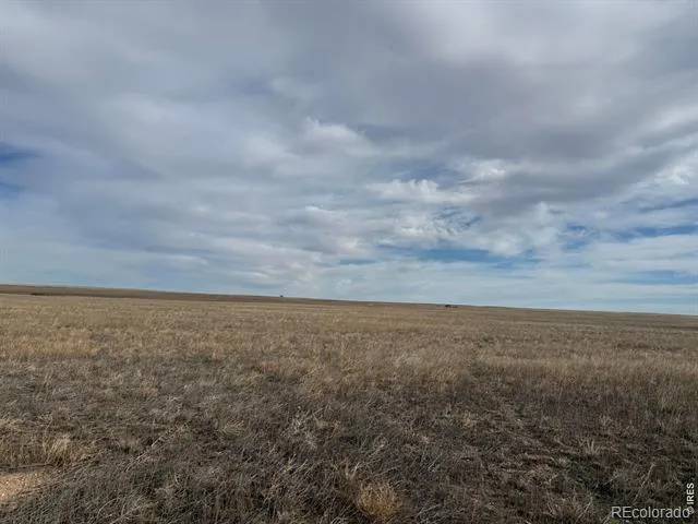 1 Vacant Land County Road 100 Nunn, CO 80648