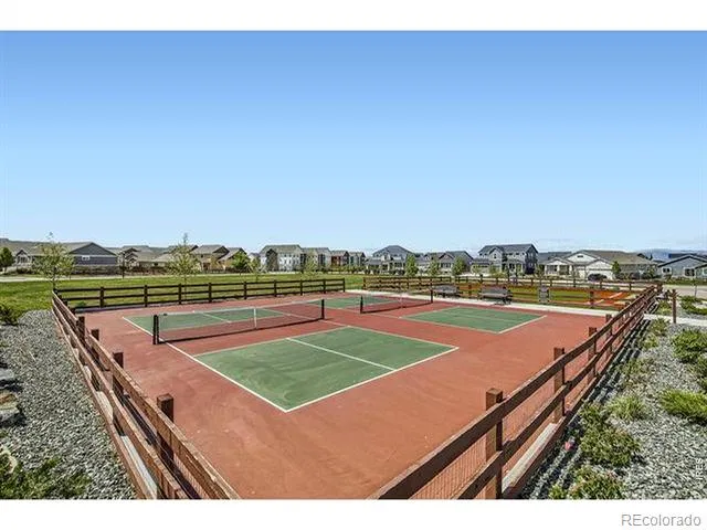1759 Abundance Drive Windsor, CO 80550