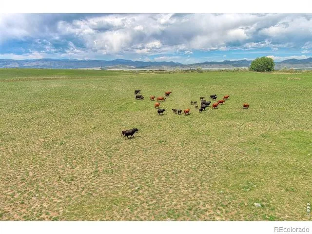 7481 County Road 15 Fort Collins, CO 80524