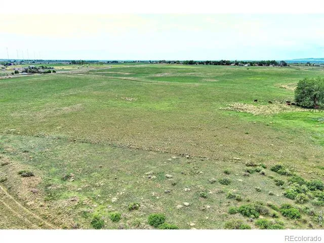 7481 County Road 15 Fort Collins, CO 80524