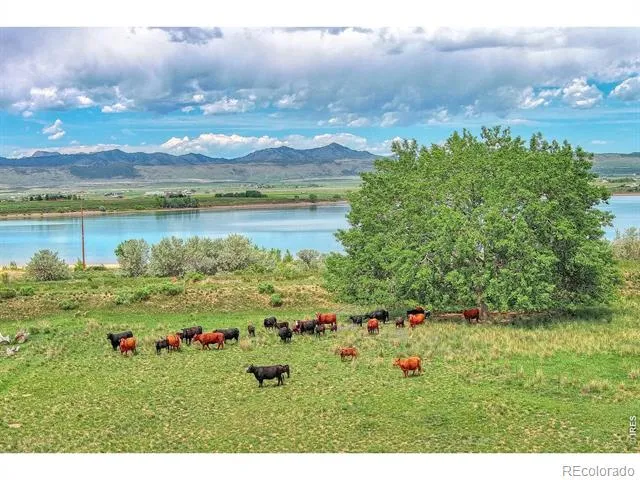 7481 County Road 15 Fort Collins, CO 80524
