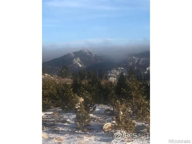 2315 Ridge Road Nederland, CO 80466