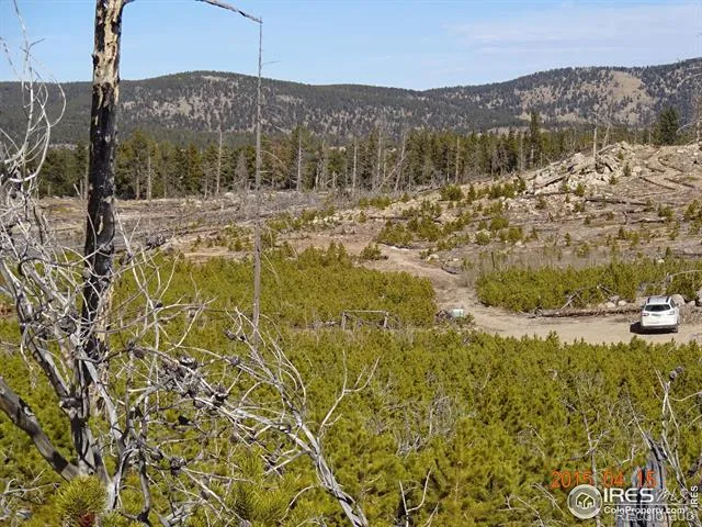 2315 Ridge Road Nederland, CO 80466