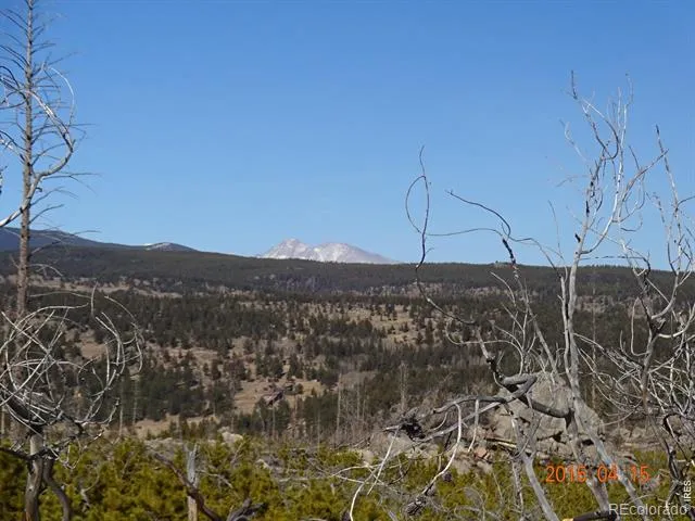 2315 Ridge Road Nederland, CO 80466