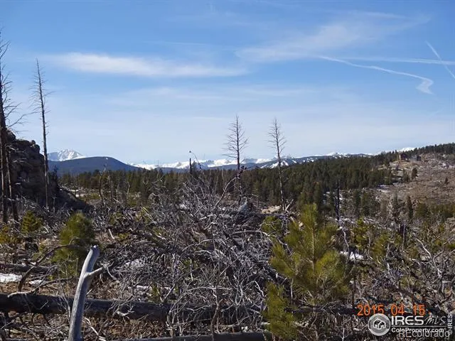 2315 Ridge Road Nederland, CO 80466