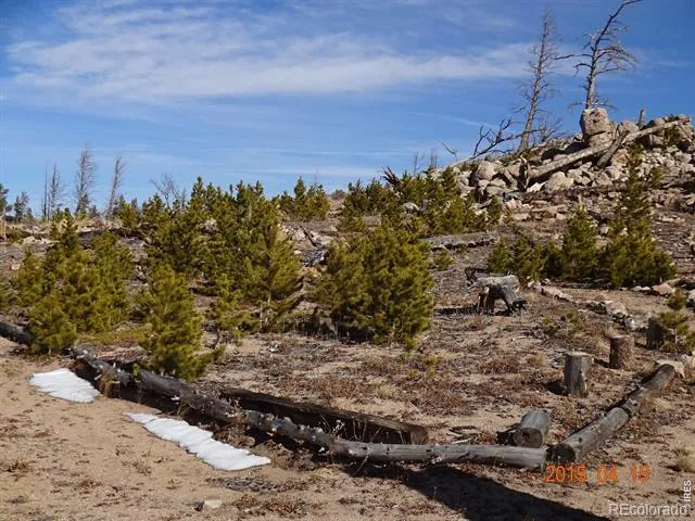2315 Ridge Road Nederland, CO 80466