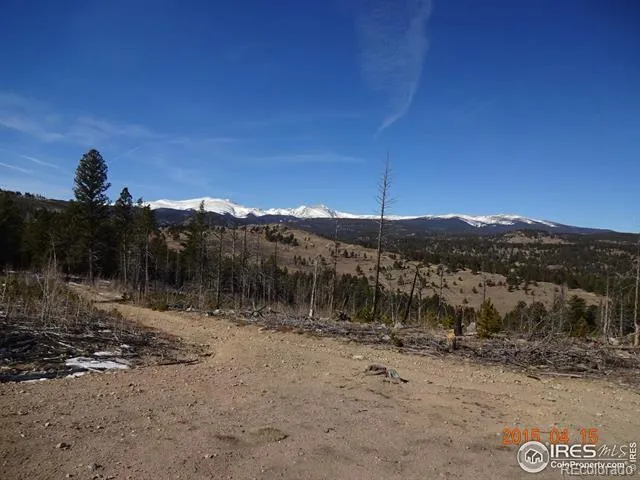2315 Ridge Road Nederland, CO 80466