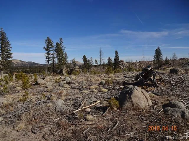 2315 Ridge Road Nederland, CO 80466