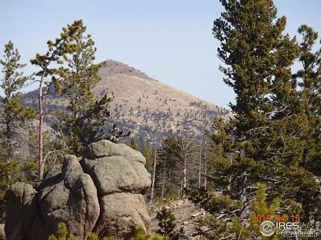 2315 Ridge Road Nederland, CO 80466