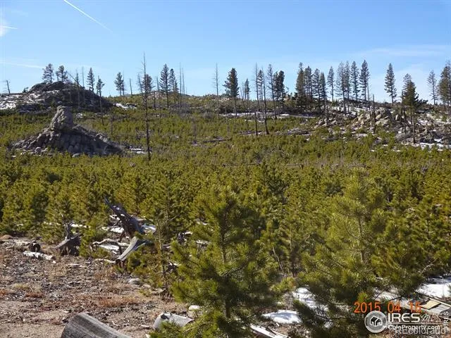 2315 Ridge Road Nederland, CO 80466